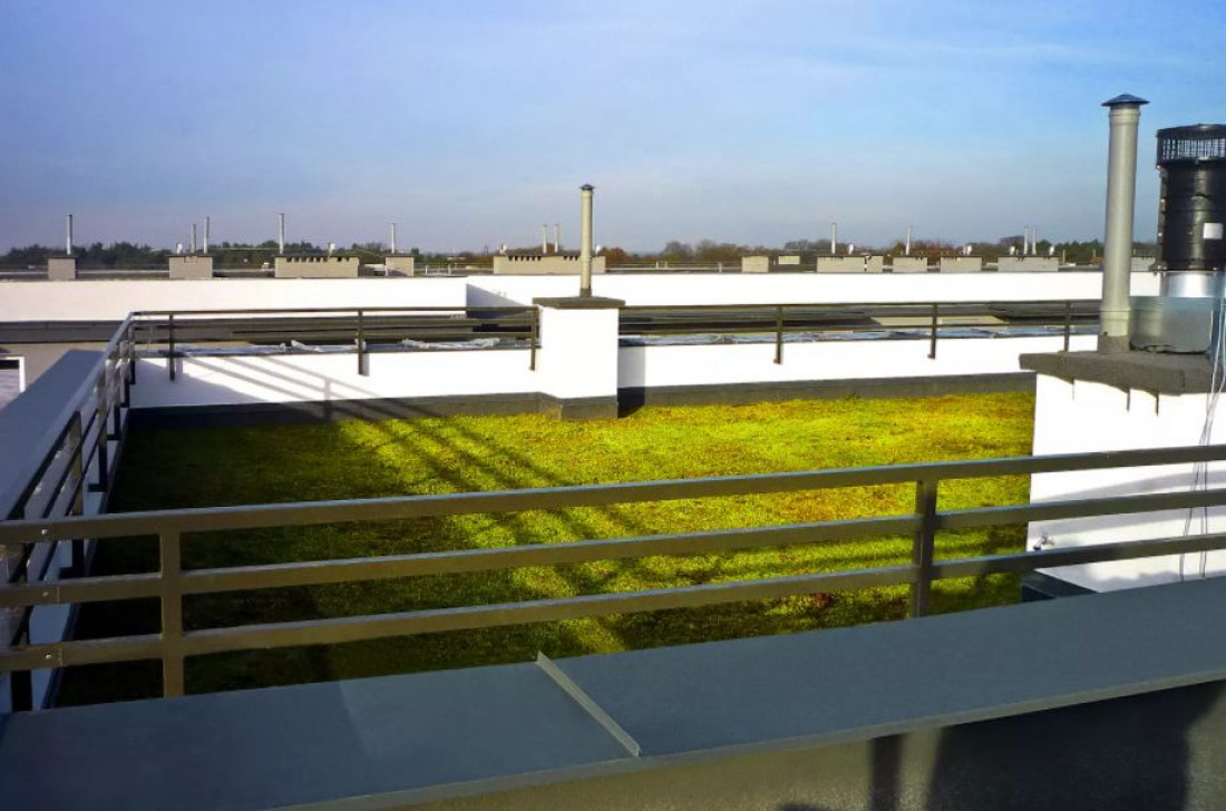Zielony Dach Icopal - ekologiczny i bezobsługowy
