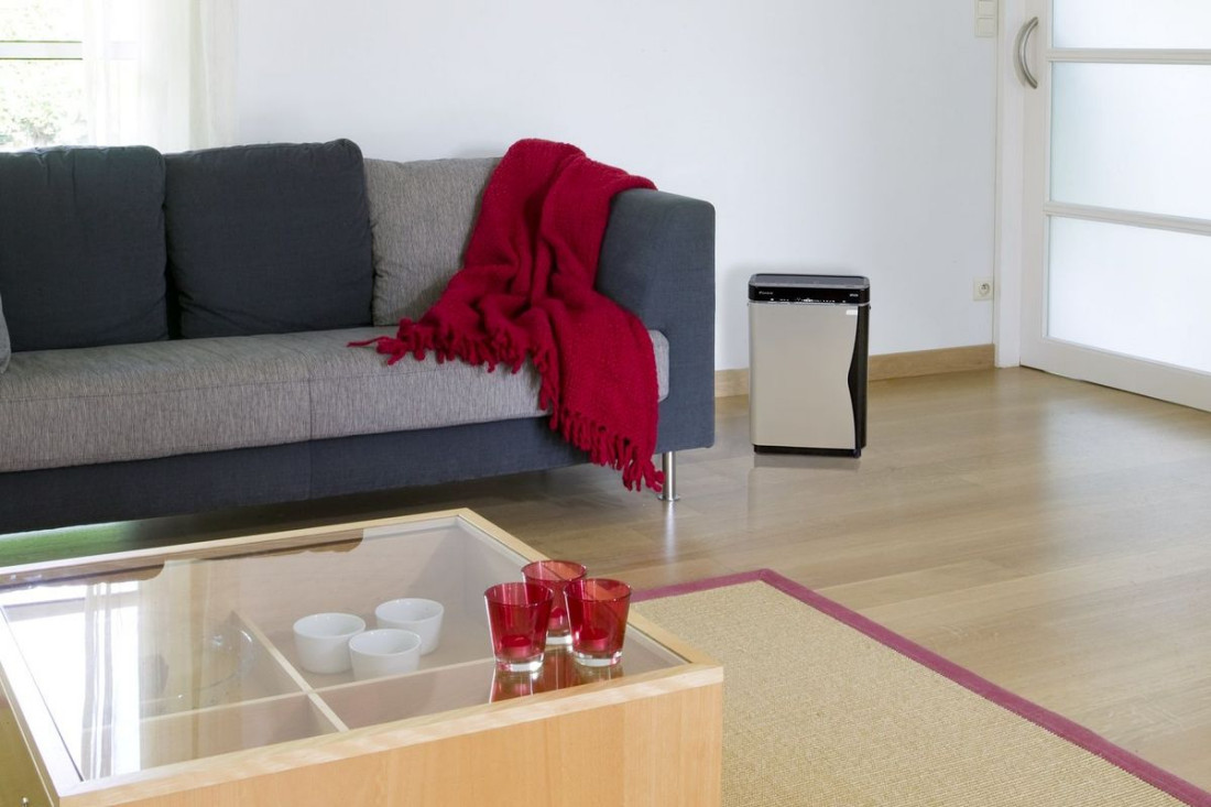 4 sposoby na poprawę powietrza w domu