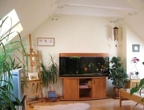 450-litrowe akwarium w pokoju rodzinnym nad garażem