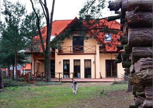 Starodrzew wokół domu