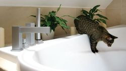 W dużej rodzinnej łazience, z piękną wanną Love Story i efektowną armaturą, brakuje na razie &#8222;drobiazgów&#8221;: umywalki, sedesu i bidetu