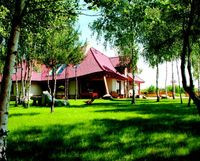 Drzewa na działce nie tylko zapewniają przyjemny cień latem, ale też większą wilgotność powietrza, czyli odpowiedni mikroklimat