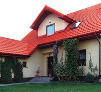 Ściana garażu obrośnięta winobluszczem