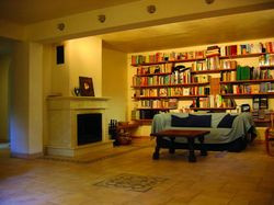 Salon kominkowy w pogłębionej piwnicy