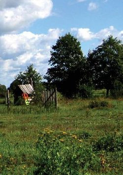 Podwórko