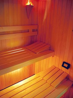 Jednocześnie z sauny mogą korzystać 4 osoby leżące lub 9 osób siedzących