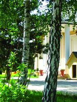 Zadbana posesja zachęca do wypoczynku