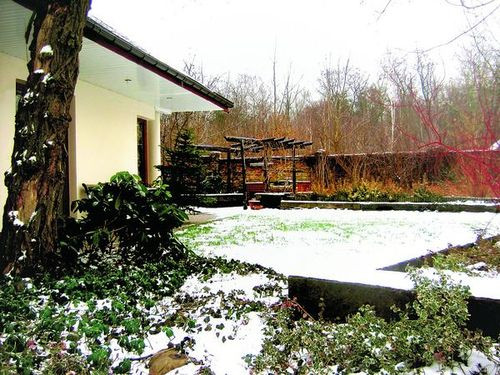 Latem pergolę przy ceglanym grilu porasta winorośl.