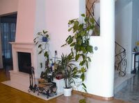 Obłożony marmurem, prosty kominek znajduje się w salonie