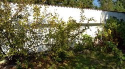 Całą posesję otacza mur o wysokości od 1,8 do 2,2 m