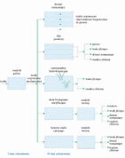 Schematy technologiczne przydomowych oczyszczalni ściek&oacute;w 