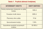 Przykład zdolności kredytowej