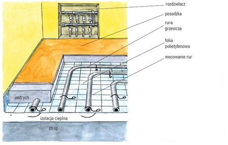 rap2_paz_m_sch_1_str91