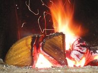 Spalanie pni i korzeni drzew liściastych daje wielobarwny ogień