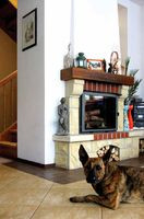 Przed kominkiem &#8211; pręgowana Tigra, znajda wyjątkowej urody