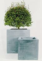 Donice ze specjalnych tworzyw sztucznych