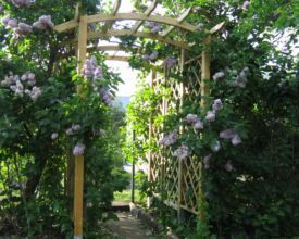 Pergola drewniana z łukowym zwieńczeniem