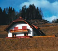 Orle Gniazdo