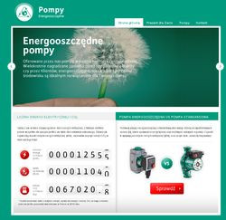 Nowa strona internetowa www.pompyenergooszczedne.pl