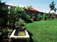 Kamienne koryto ptasiego poidełka