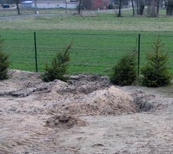 Zniszczone drzewka i rozkopana działka