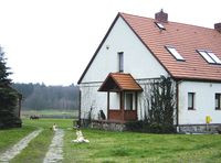 Strzał w dziesiątkę