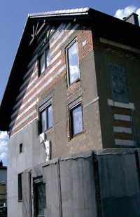 Podpatrując naturę