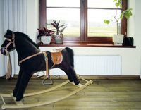 Inwestorka zdecydowała się pozostawić starą instalację, kt&oacute;ra wsp&oacute;łpracuje z kotłem gazowym, aby nie mnożyć koszt&oacute;w