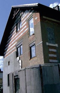 Podpatrując naturę