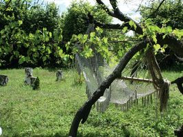 Swój klimat letniska zawdzięczają drobiazgom