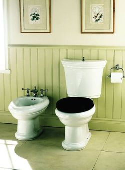 Niepraktyczność dwuuchwytowej baterii bidetowej wynagradza piękna forma urządzeń