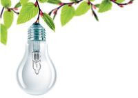 Wymiana instalacji elektrycznej