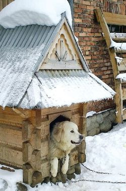 Tradycja góralskich domów przenosi się także na .. małą architekturę. Obok eleganckich domów stawia się nie mniej eleganckie psie budy, które przypominają miniaturowe, tradycyjne chaty