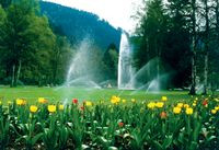 System automatycznego nawadniania