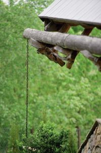 Woda z połaci dachowych zbierana jest przez rynny wykonane z wydrążonych kloców drewna, a następnie odprowadzana w dół po łańcuchu