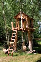 Domek na drzewie Robert budował dla dzieci, ale sam miał przy tym sporo radości
