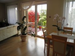 Krzysztof Broda zakupił Elite Line Nature Collection Dąb Elegance