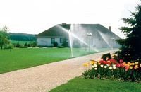 Zagospodarowanie ogrodu - odwadnianie, nawadnianie, nawierzchnie, zieleń