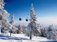 Konferencja Międzynarodowej Federacji Dekarzy IFD