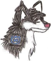 Wynieku konkursu na oficjalną maskotkę zawod&oacute;w Husqvarna Tour