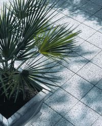 La Linia - szlachetne płyty tarasowe 