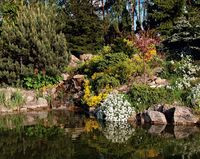 Powr&oacute;t do świetności