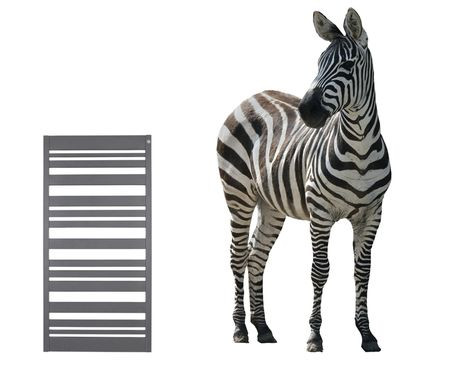 Zaadoptowana przez Zespół firmy Instal-Projekt zebra IPnka z warszawskiego ZOO oraz grzejnik o nazwie Zebra.