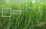 Powiew wiosny - Śnieżka