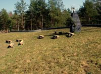 Powierzchnia zielonego dachu jest doskonałym miejscem do organizowania plenerowych spotkań towarzyskich