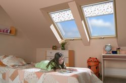 Okno dachowe FTP - V P2 Secure