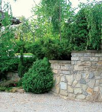 Zieleń powinna mieć różne odcienie oraz różną wysokość – stwierdza pan domu