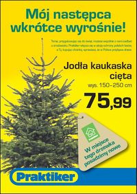 Praktiker sadzi choinki