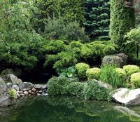 4000 m2 na skraju Puszczy Bolimowskiej