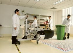 Album - Global Impressions of Bosch